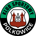 Gornik Polkowice logo